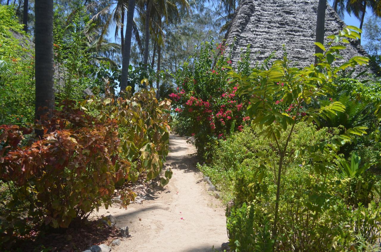 Ndame Beach Lodge Paje Buitenkant foto