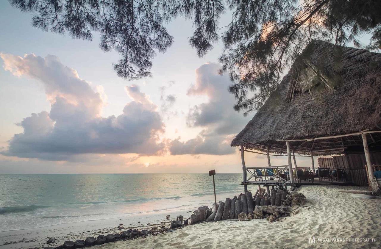 Ndame Beach Lodge Paje Buitenkant foto