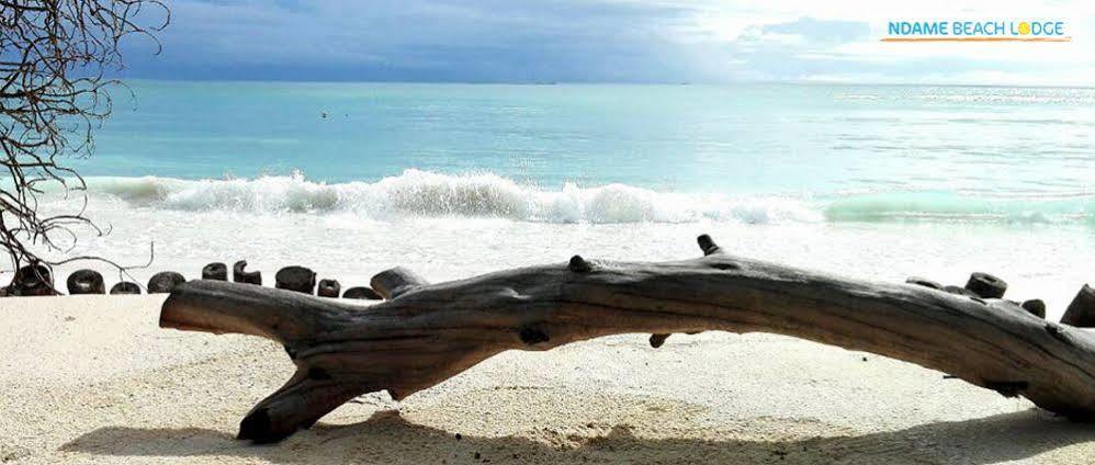 Ndame Beach Lodge Paje Buitenkant foto
