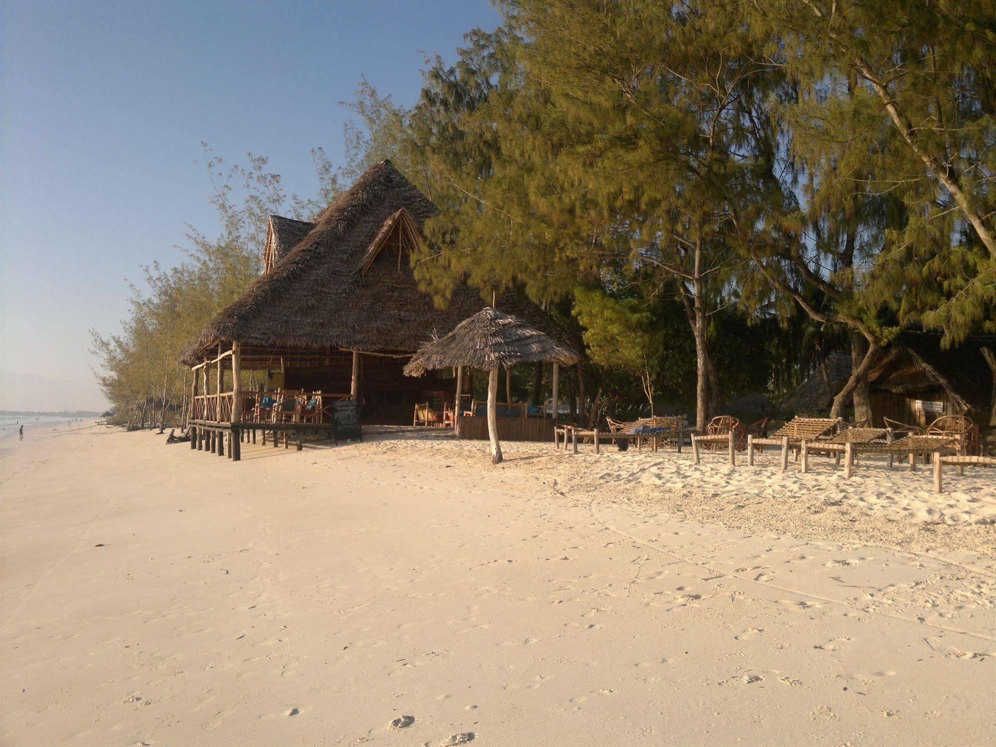 Ndame Beach Lodge Paje Buitenkant foto