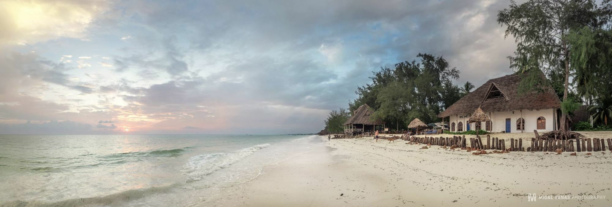 Ndame Beach Lodge Paje Buitenkant foto